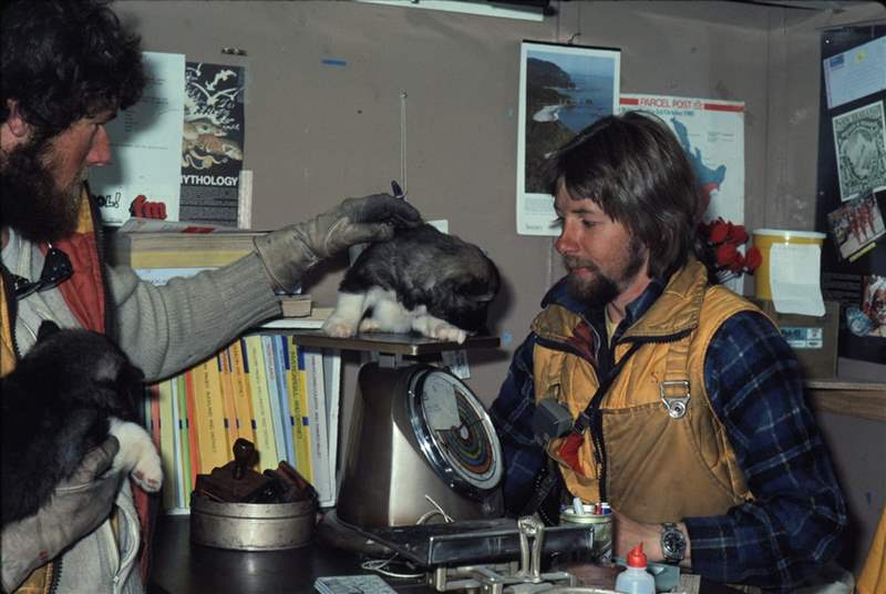 年度回顧2021年您最喜歡的五個帖子-復刻表