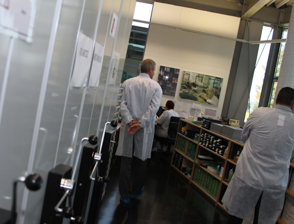 在艾美表廠-復刻表